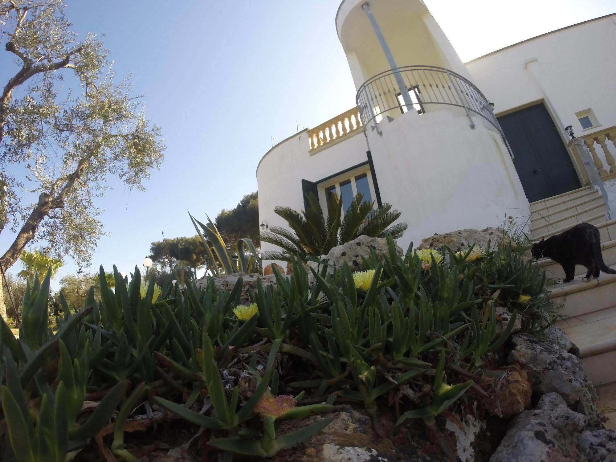 B&B Villa กัลลีโปลี ภายนอก รูปภาพ